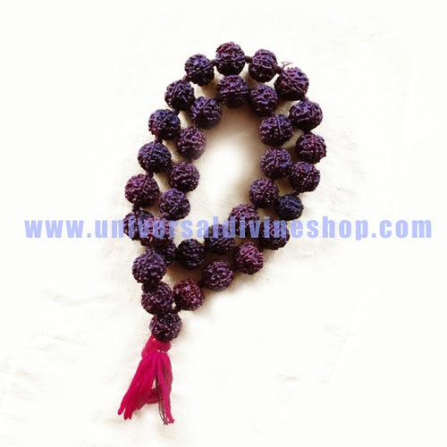 Rudraksha Kantha